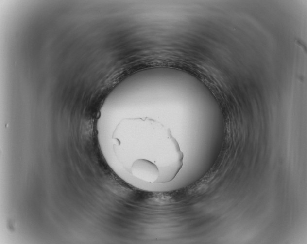 X0000091530278200708170955