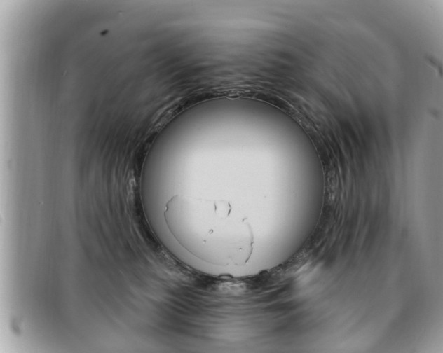 X0000091530279200708170955