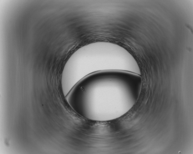 X0000091530280200708170955