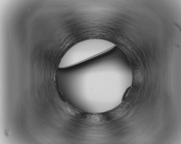 X0000091530282200708170955