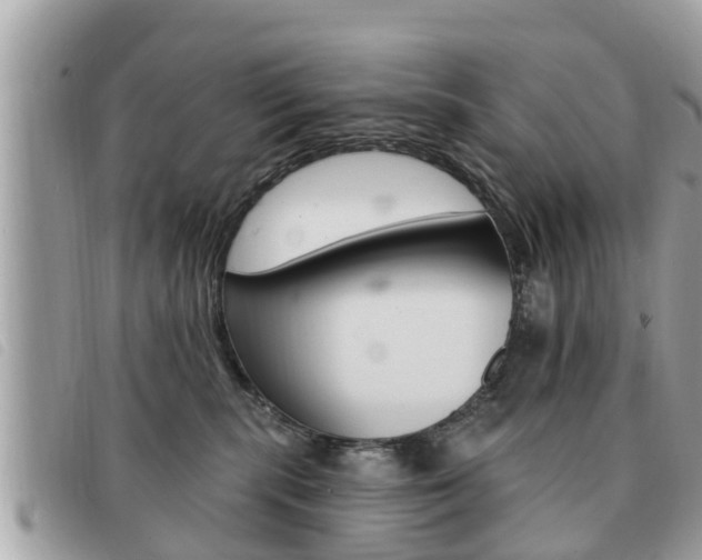 X0000091530283200708170955