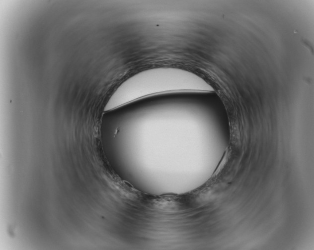 X0000091530284200708170955