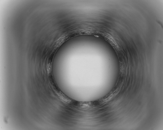 X0000091530285200708170955