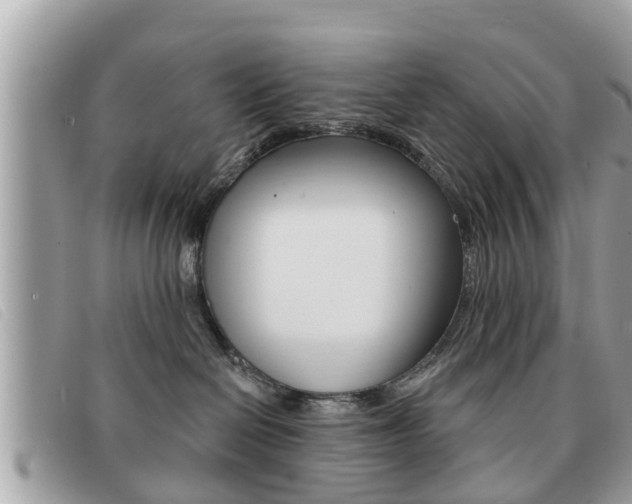 X0000091530286200708170955