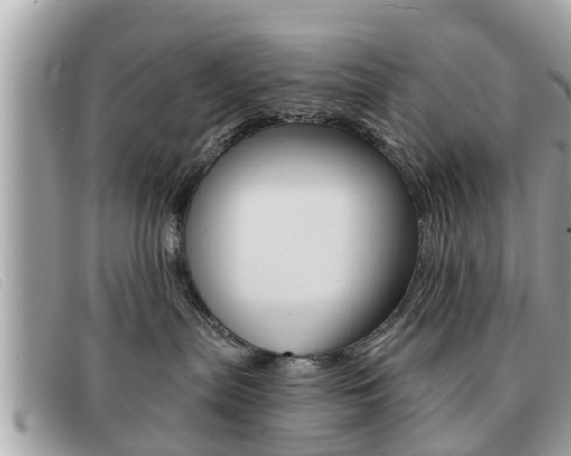 X0000091530287200708170955