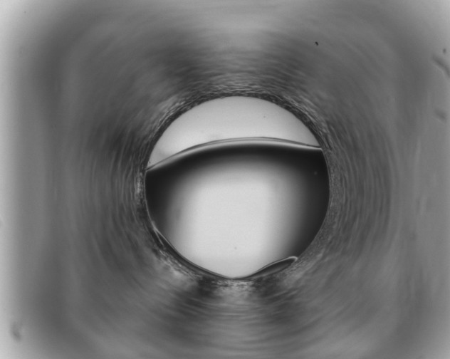 X0000091530288200708170955