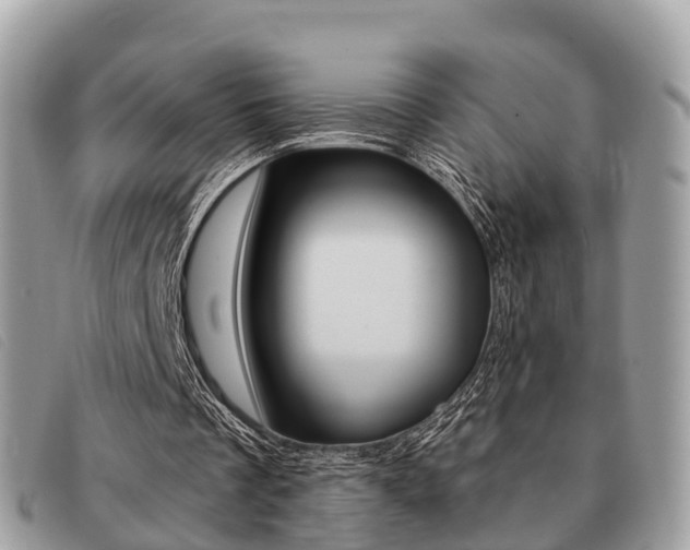 X0000091530289200708170955
