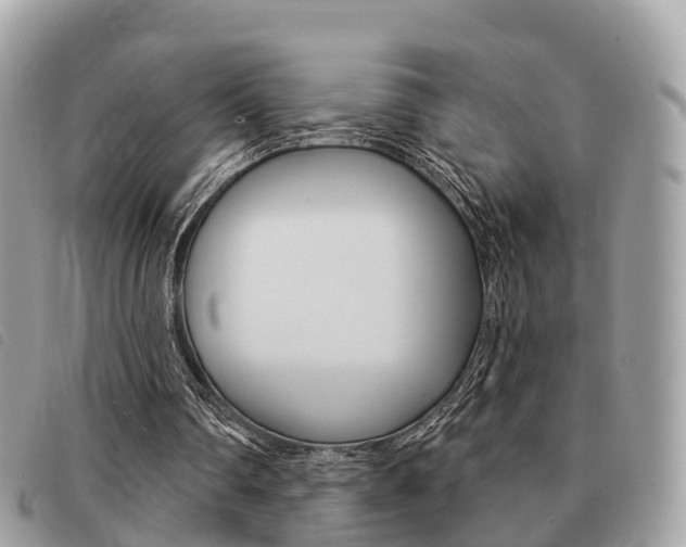 X0000091530290200708170955
