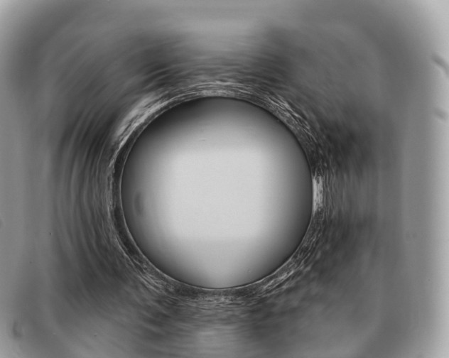 X0000091530291200708170955