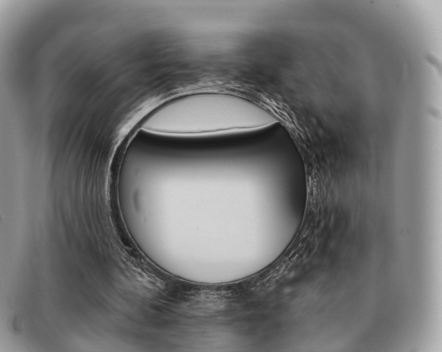 X0000091530292200708170955