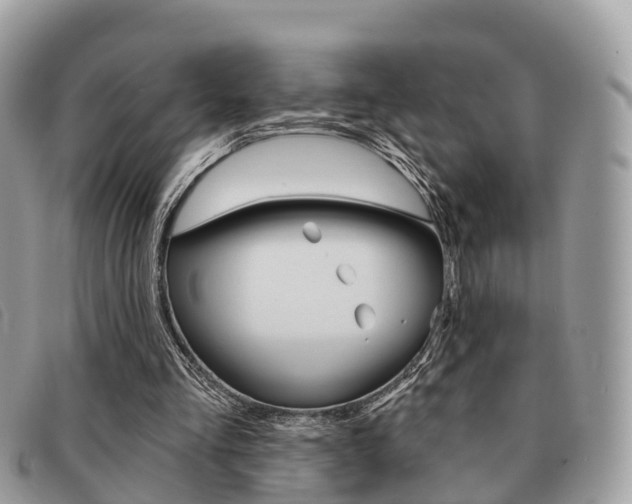 X0000091530293200708170955
