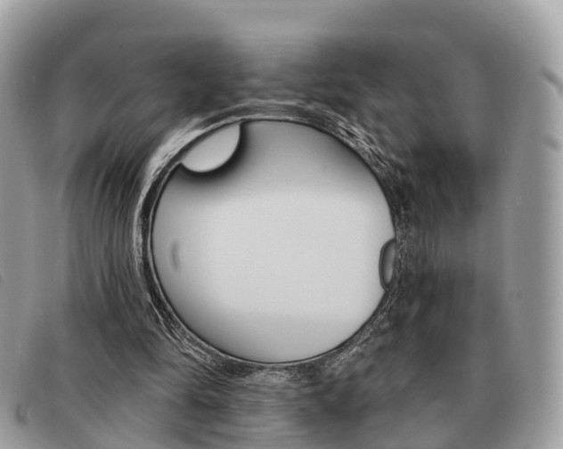 X0000091530294200708170955