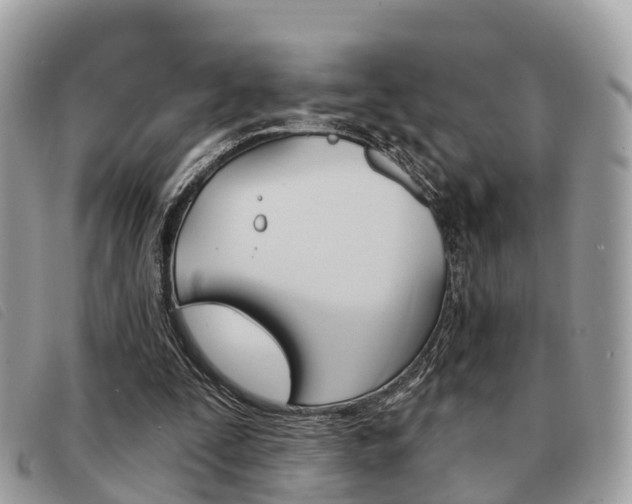 X0000091530295200708170955