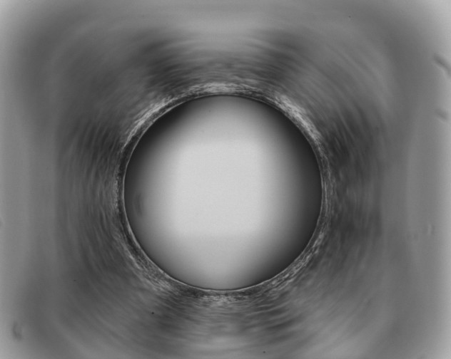 X0000091530297200708170955