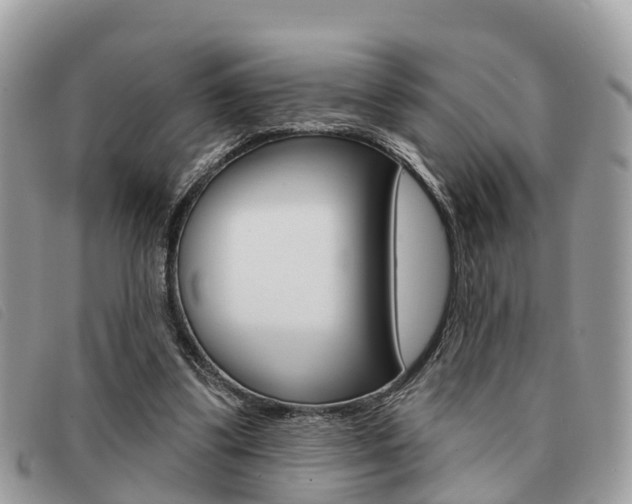 X0000091530299200708170955