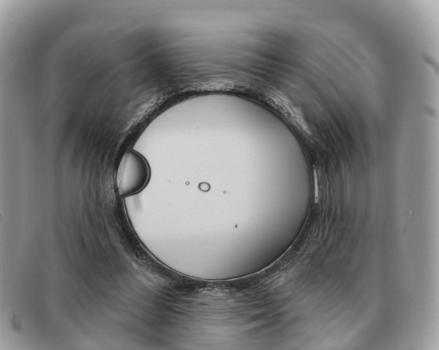 X0000091530300200708170955