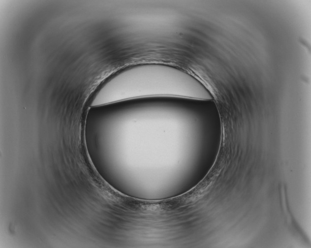 X0000091530301200708170955