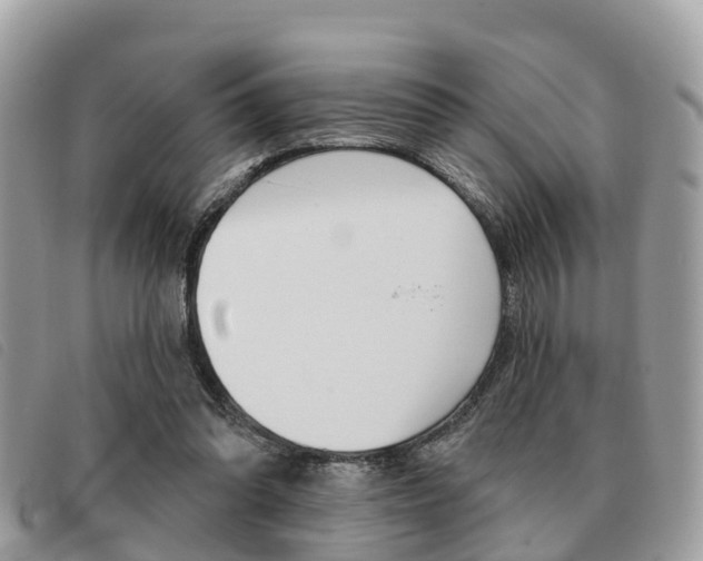 X0000091530302200708170955