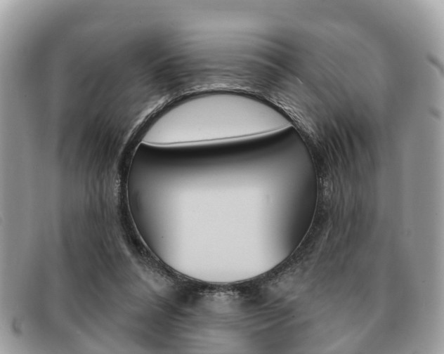 X0000091530304200708170955