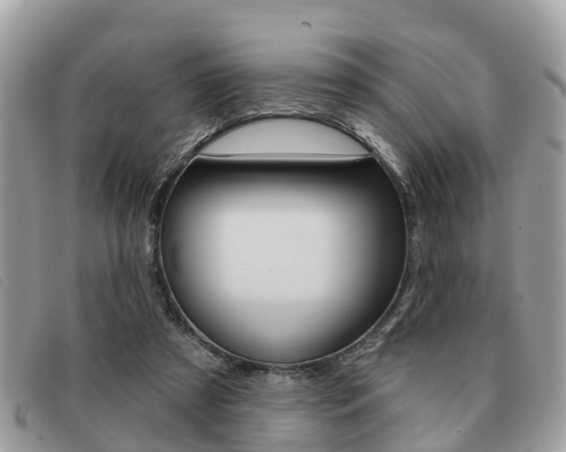 X0000091530305200708170955
