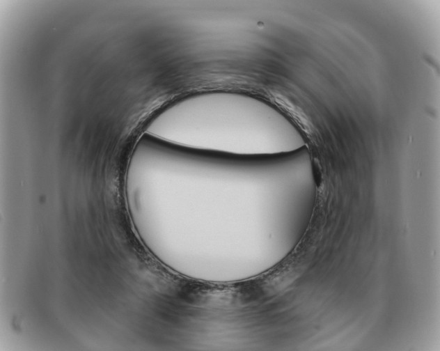 X0000091530306200708170955