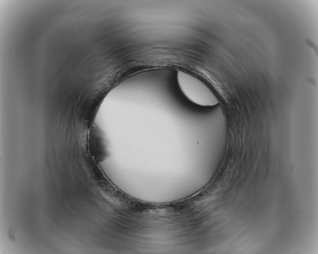 X0000091530307200708170955
