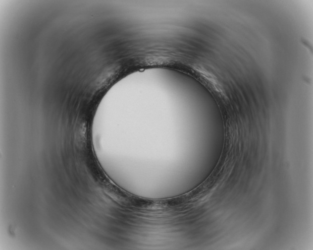X0000091530308200708170955