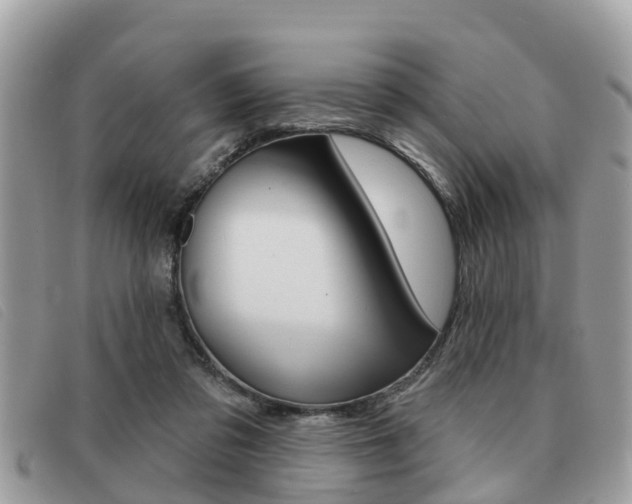 X0000091530309200708170955