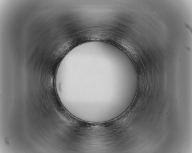 X0000091530310200708170955