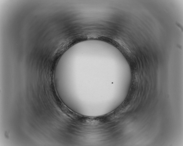 X0000091530311200708170955