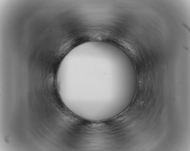 X0000091530314200708170955