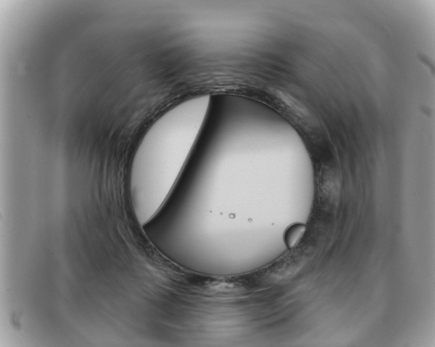 X0000091530315200708170955