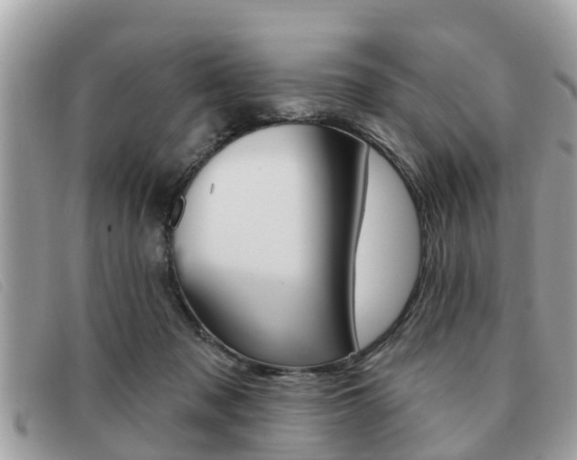 X0000091530317200708170955