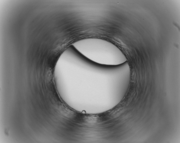X0000091530318200708170955