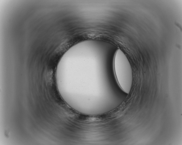 X0000091530319200708170955