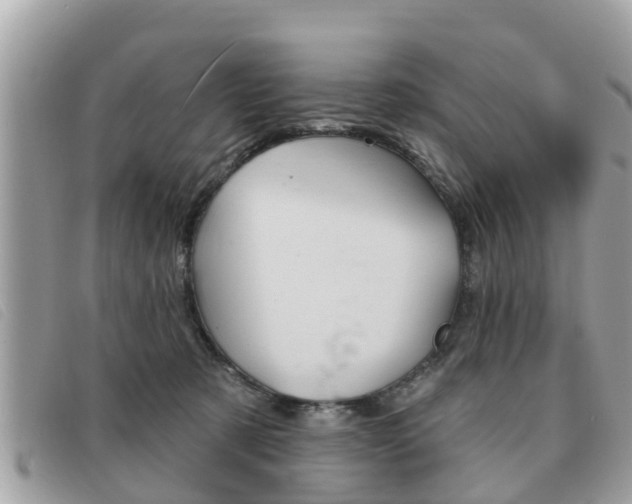 X0000091530321200708170955