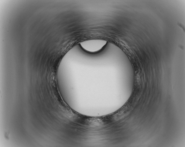 X0000091530322200708170955