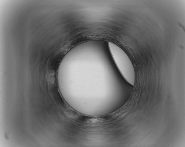 X0000091530323200708170954