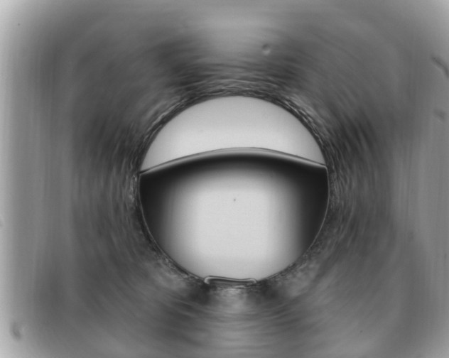 X0000091530325200708170954