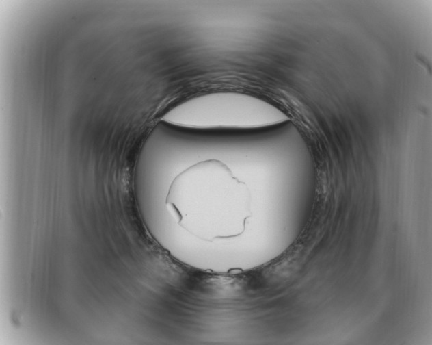 X0000091530326200708170954