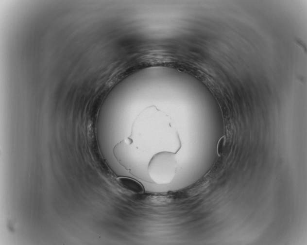 X0000091530327200708170954