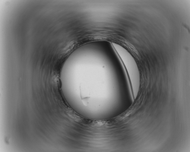 X0000091530329200708170954