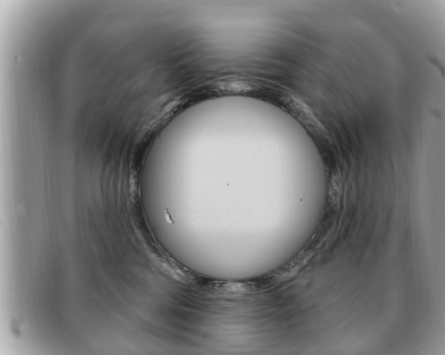 X0000091530330200708170954