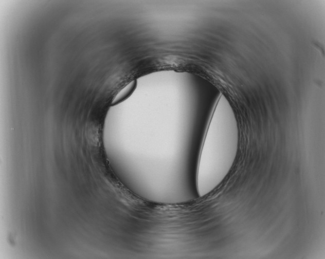 X0000091530331200708170954