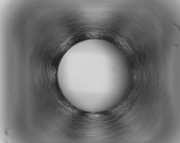 X0000091530332200708170954