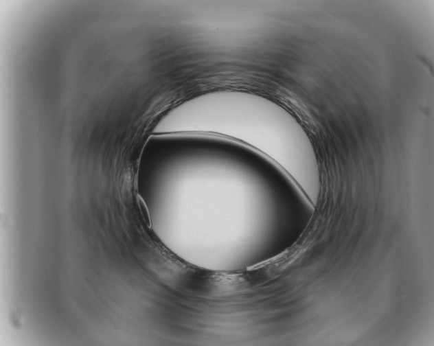 X0000091530333200708170954