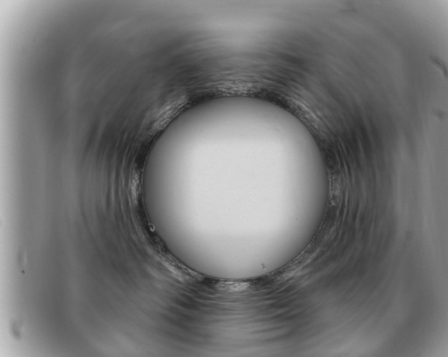 X0000091530334200708170954
