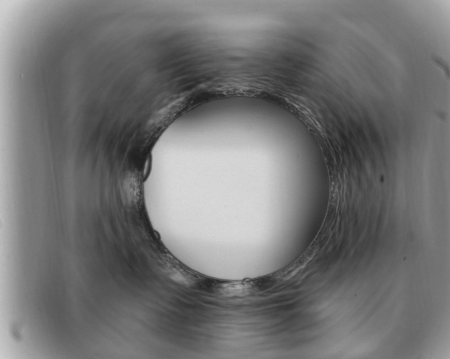 X0000091530335200708170954