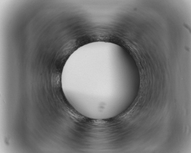 X0000091530336200708170954