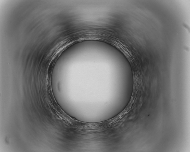X0000091530338200708170954